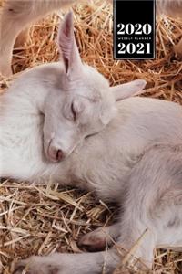 Goat Farmer Farming Herder Goatherd Week Planner Weekly Organizer Calendar 2020 / 2021 - Sleep in Hay