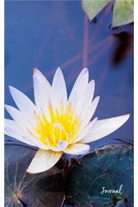 Lotus Flower Journal