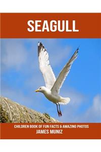 Seagull: Children Book of Fun Facts & Amazing Photos