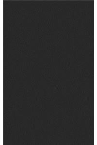 Black Giant Sketchbook 5 X 8