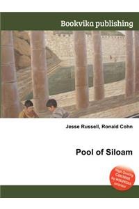 Pool of Siloam