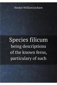 Species filicum being descriptions of the known ferns, particulary of such