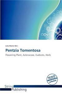 Pentzia Tomentosa