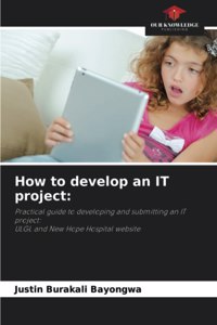 How to develop an IT project