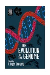 The Evolution Of The Genome