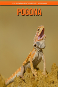 Pogona