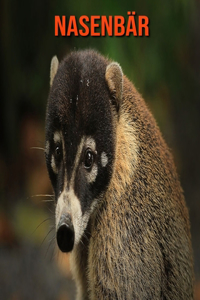 Nasenbär