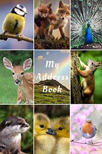 My Address Book