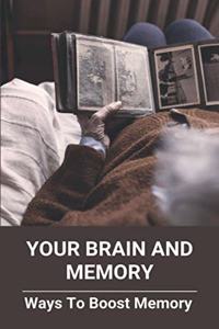 Your Brain And Memory