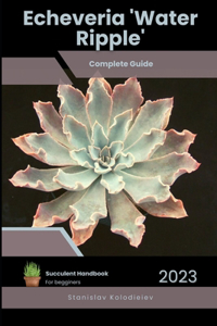 Echeveria 'Water Ripple'