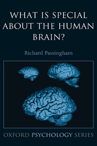 What Is Special about the Human Brain?