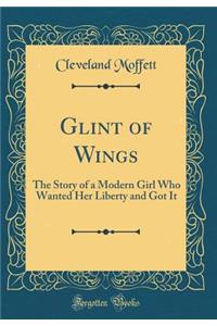 Glint of Wings: The Story of a Modern Girl Who Wanted Her Liberty and Got It (Classic Reprint)