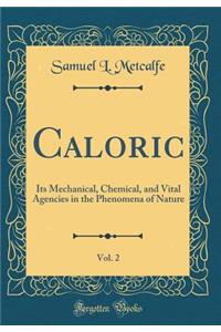 Caloric, Vol. 2: Its Mechanical, Chemical, and Vital Agencies in the Phenomena of Nature (Classic Reprint)