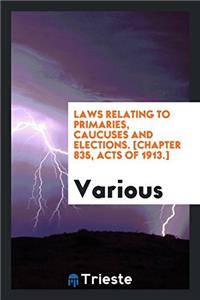 Laws relating to primaries, caucuses and elections. [Chapter 835, Acts of 1913.]