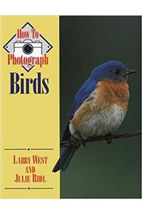 How to Photograph Birds