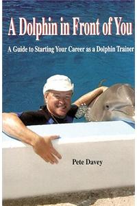 Dolphin in Front of You
