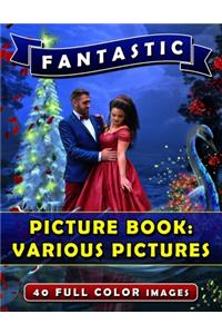 Fantastic Picture Book