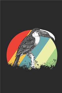 Toucan Bird
