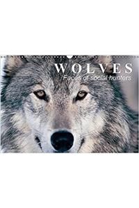 Wolves * Faces of Social Hunters 2017