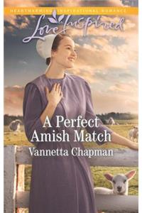 A Perfect Amish Match