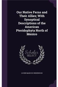 Our Native Ferns and Their Allies; With Synoptical Descriptions of the American Pteridophyta North of Mexico