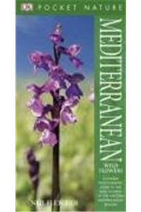 Mediterranean Wildflowers