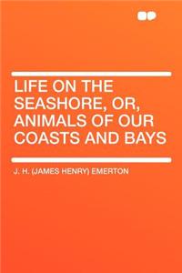 Life on the Seashore, Or, Animals of Our Coasts and Bays