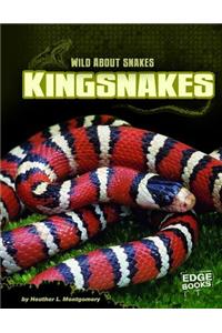 Kingsnakes