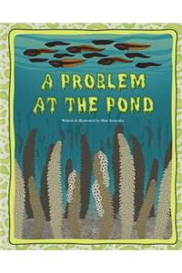 A Problem at the Pond