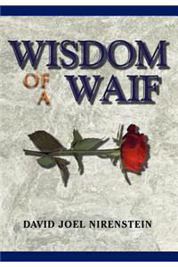 Wisdom of a Waif