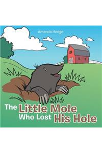 The Little Mole Who Lost His Hole