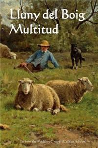 Lluny de la Multitud Boja
