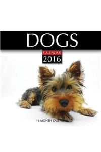 Dogs Calendar 2016
