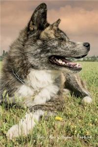 Akita Inu August Notebook Akita Inu Record, Log, Diary, Special Memories, to Do List, Academic Notepad, Scrapbook & More