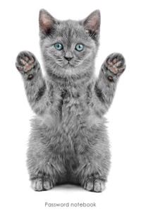 Password Notebook: Large Internet Address and Password Logbook / Journal / Diary - Playful Kitten Cover