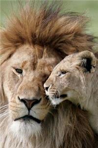 Lions in Love Journal