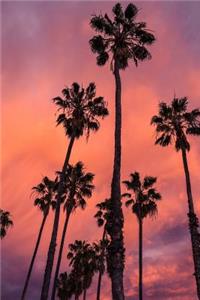 Palm Trees Silhouetted Against A Sunset Journal