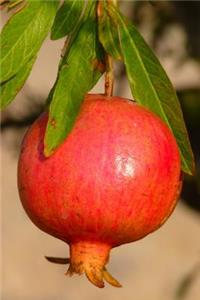 Pomegranate Fruit Journal