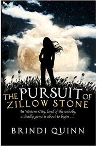 The Pursuit of Zillow Stone