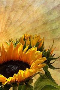 The Saintly Sentinel Sunflower