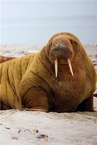 Walrus Beach Any Day Planner Notebook
