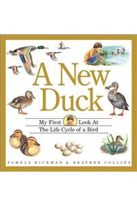 A New Duck: My First Look at the Life Cycle of a Bird