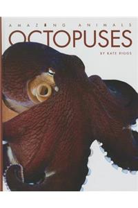 Octopuses