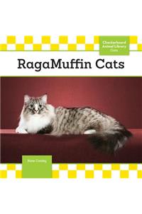 Ragamuffin Cats