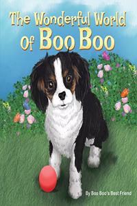 Wonderful World Of Boo Boo