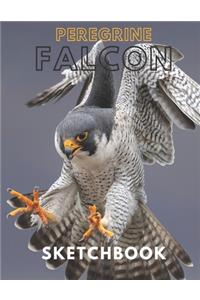 Peregrine falcon Sketchbook Large sketchbook for drawing 8.5 x 11 inch (21.59 x 27.94 cm) 150 pages