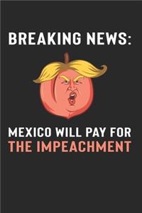 Mexico Will Pay For Notebook - Impeachment Journal Planner Anti-Trump