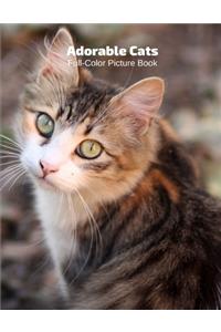 Adorable Cats Full-Color Picture Book