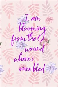 I Am Blooming From The Wound Where I Once Bled