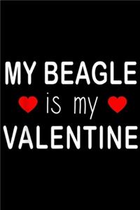 My Beagle Is My Valentine